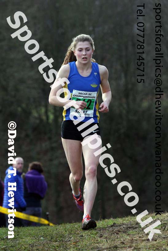 Womens under-17s and 20s North Eastern Cross Country, Aykley Heads, Durham. Photo: David T. Hewitson/Sports for All Pics